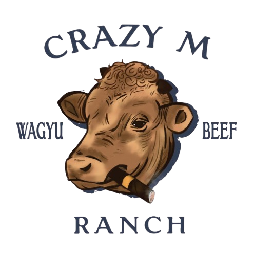 WhatsApp Image 2025 11 03 At 2.01.28 AM Removebg Preview